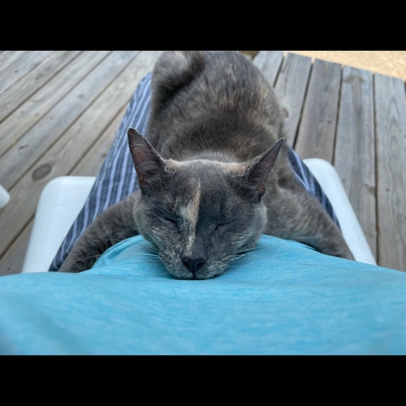 Meet Your Seller - Picture 7 of 9